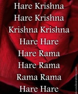 Hare Krishna Maha Mantra 298