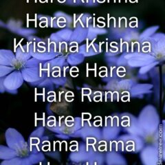 Hare Krishna Maha Mantra 300