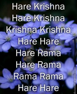 Hare Krishna Maha Mantra 300