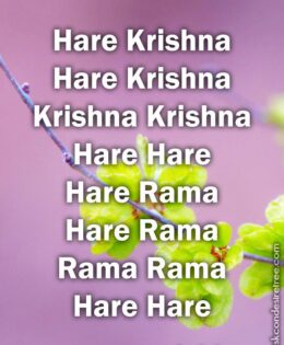 Hare Krishna Maha Mantra 301