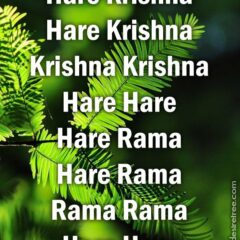 Hare Krishna Maha Mantra 302
