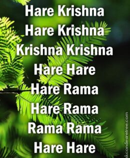 Hare Krishna Maha Mantra 302