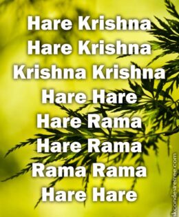 Hare Krishna Maha Mantra 303