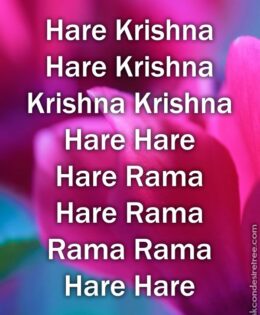 Hare Krishna Maha Mantra 304