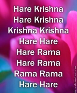 Hare Krishna Maha Mantra 304