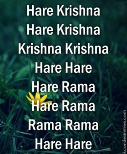 Hare Krishna Maha Mantra 305