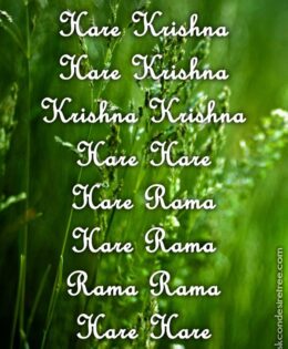 Hare Krishna Maha Mantra 307