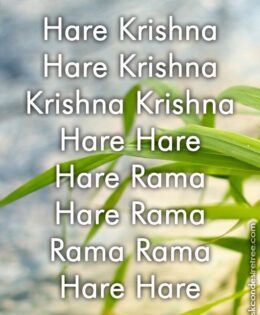 Hare Krishna Maha Mantra 308