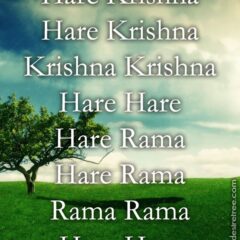 Hare Krishna Maha Mantra in French 016