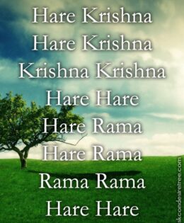 Hare Krishna Maha Mantra in French 016