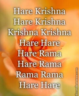 Hare Krishna Maha Mantra 312