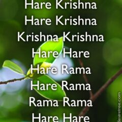 Hare Krishna Maha Mantra 314