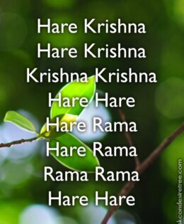 Hare Krishna Maha Mantra 314