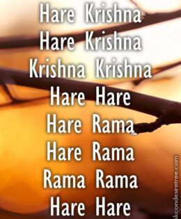 Hare Krishna Maha Mantra 315