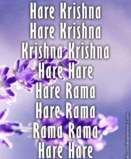 Hare Krishna Maha Mantra in French 014