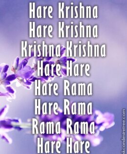 Hare Krishna Maha Mantra 316