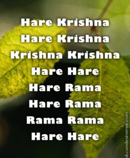 Hare Krishna Maha Mantra 317