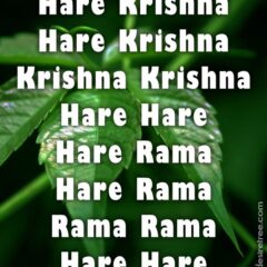 Hare Krishna Maha Mantra 318