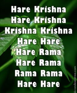 Hare Krishna Maha Mantra 318