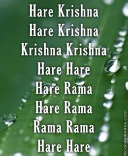 Hare Krishna Maha Mantra 319
