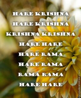 Hare Krishna Maha Mantra in French 013
