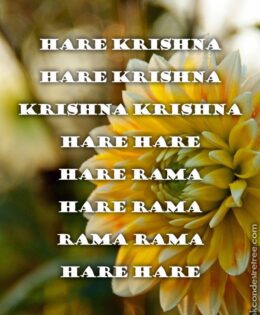 Hare Krishna Maha Mantra 321