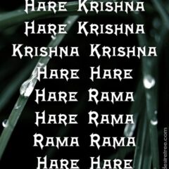 Hare Krishna Maha Mantra 322