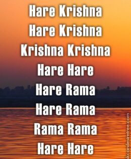 Hare Krishna Maha Mantra in French 012