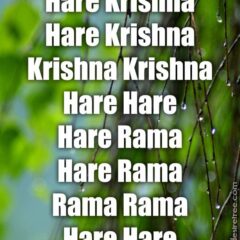 Hare Krishna Maha Mantra 327