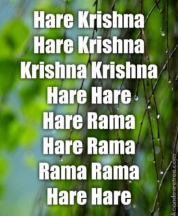 Hare Krishna Maha Mantra 327