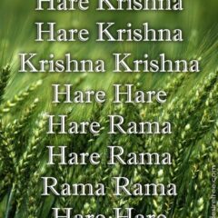 Hare Krishna Maha Mantra in French 011