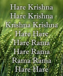 Hare Krishna Maha Mantra in French 011