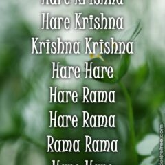 Hare Krishna Maha Mantra 331