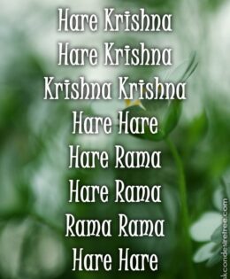 Hare Krishna Maha Mantra 331