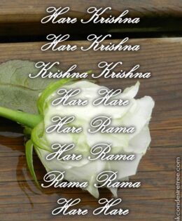 Hare Krishna Maha Mantra in French 009