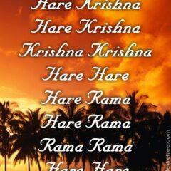 Hare Krishna Maha Mantra 336