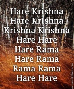 Hare Krishna Maha Mantra in French 006