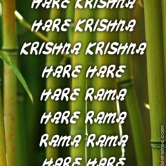 Hare Krishna Maha Mantra 341