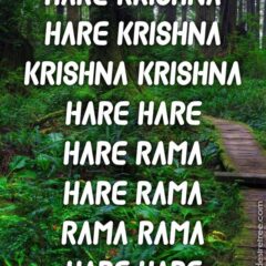 Hare Krishna Maha Mantra 342