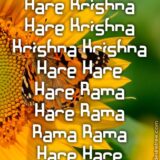 Hare Krishna Maha Mantra 347