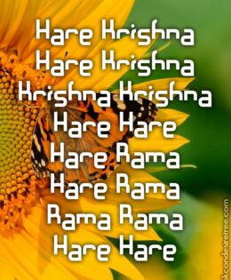Hare Krishna Maha Mantra 347