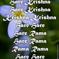 Hare Krishna Maha Mantra 348