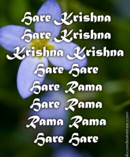Hare Krishna Maha Mantra in French 004