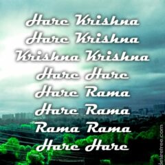 Hare Krishna Maha Mantra 349