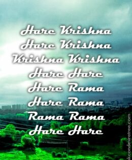 Hare Krishna Maha Mantra 349
