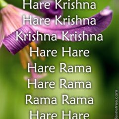 Hare Krishna Maha Mantra in French 003