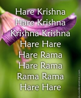 Hare Krishna Maha Mantra in French 003