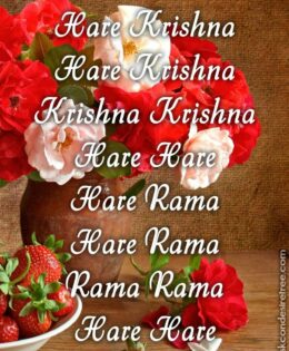 Hare Krishna Maha Mantra 352