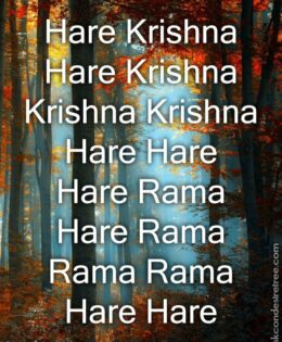 Hare Krishna Maha Mantra in French 002