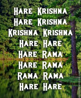 Hare Krishna Maha Mantra 354